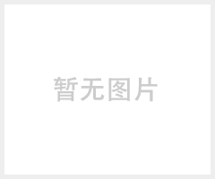 3G无线网络摄像机（TD-SCDMA）